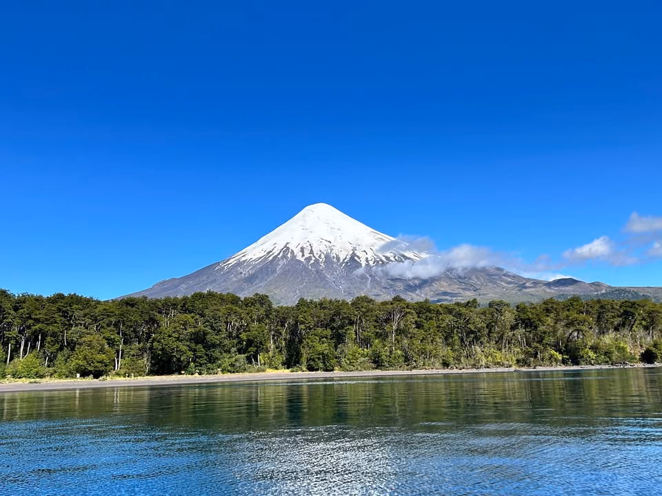 El volcán Osorno nevado visto desde el agua, sobre el bosque de la orilla.